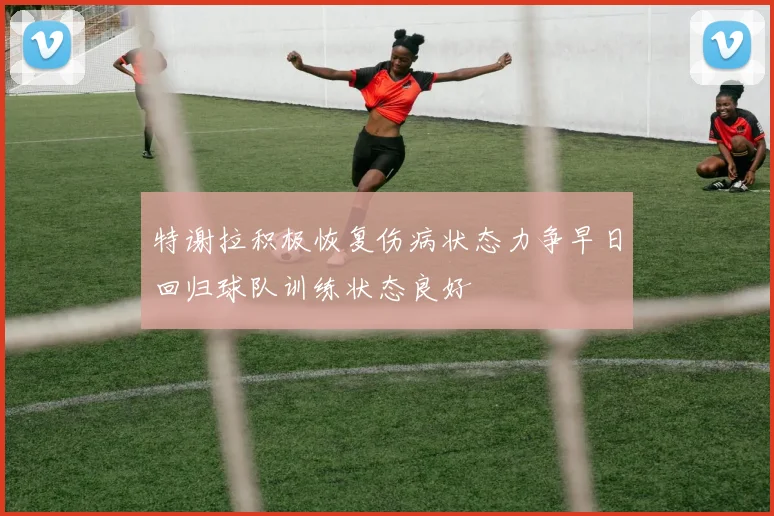 特谢拉积极恢复伤病状态力争早日回归球队训练状态良好